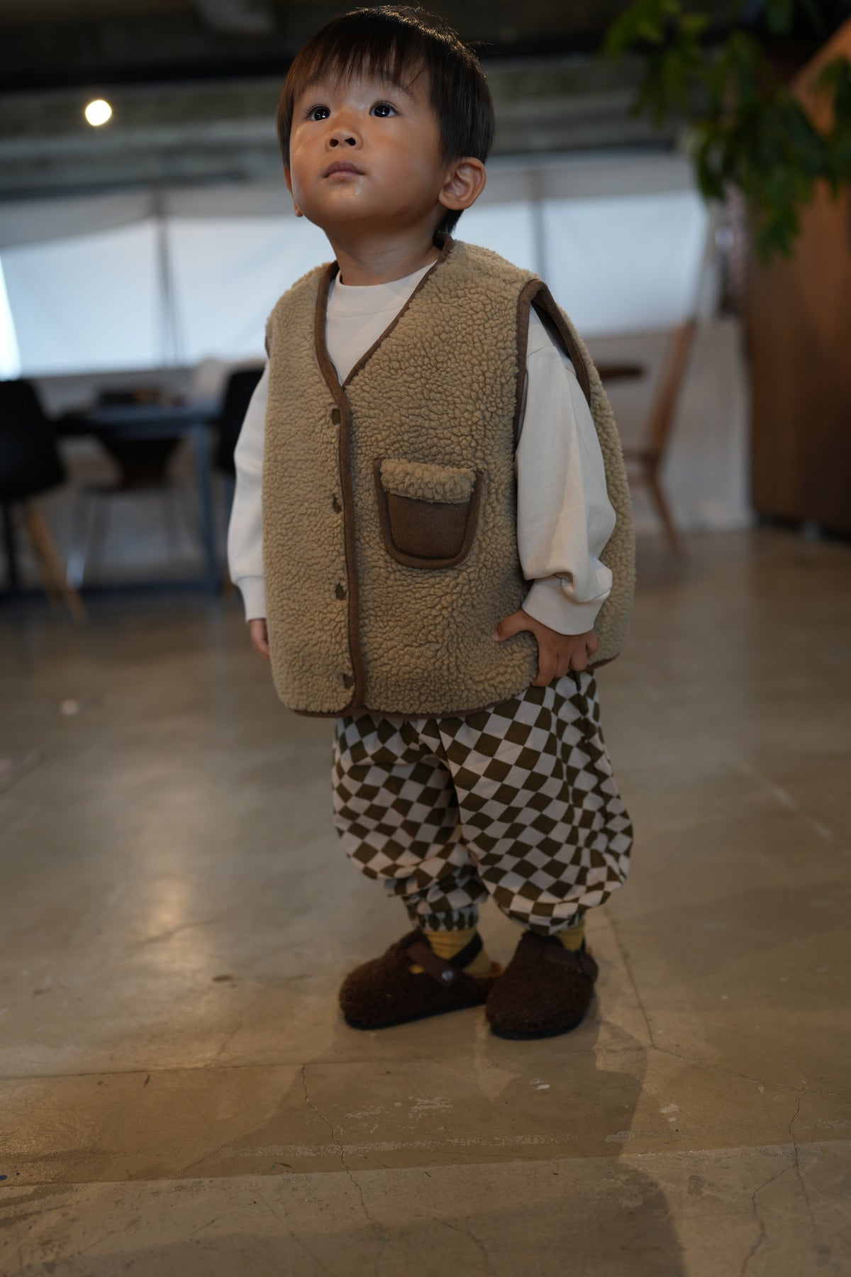 Reversible Boa Vest