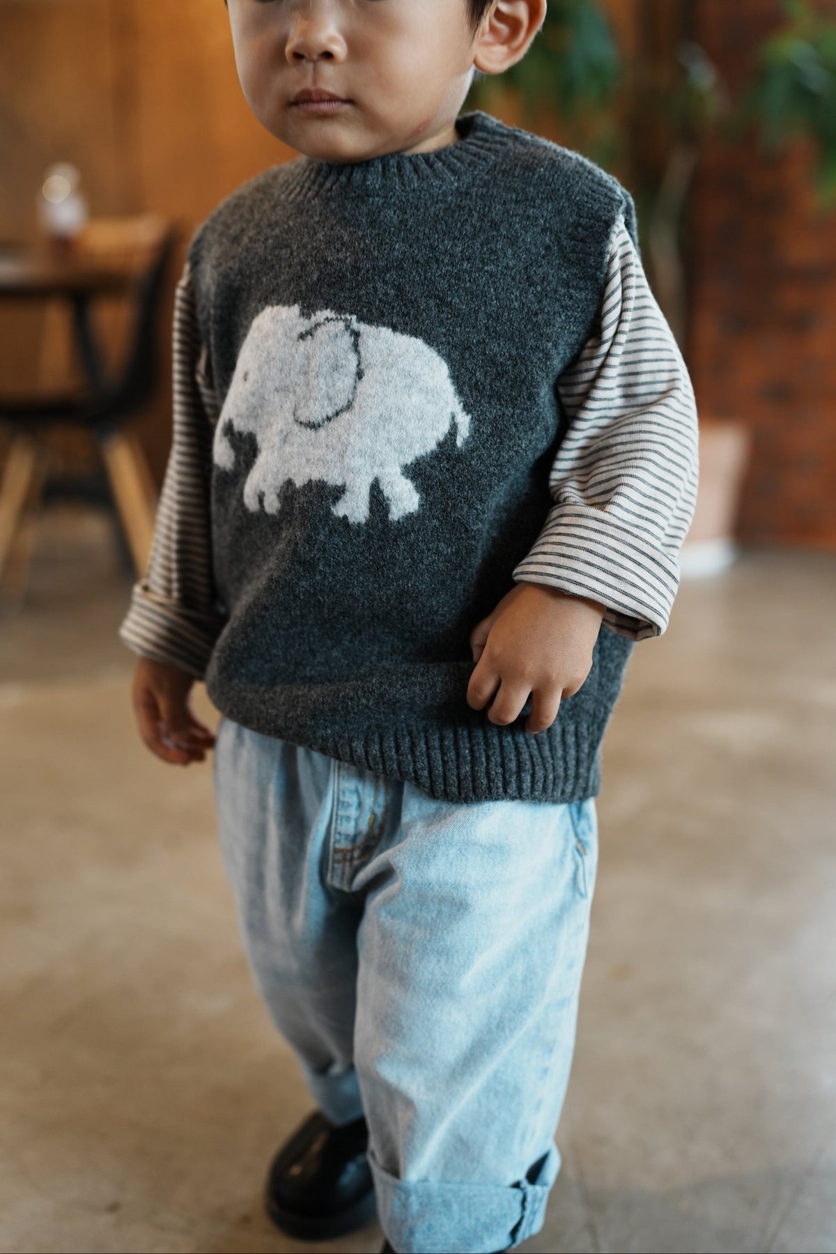 Big Elephant Vest