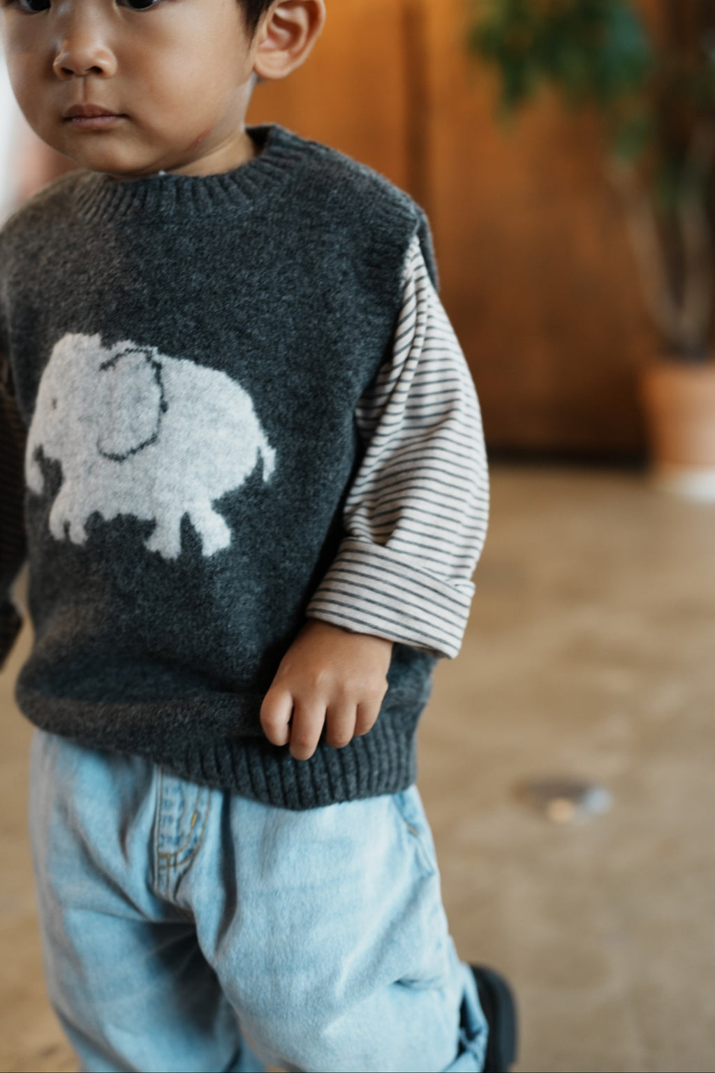 Big Elephant Vest