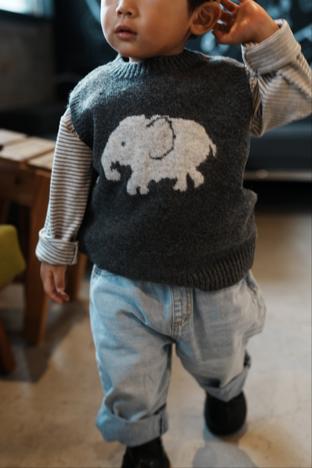 Big Elephant Vest
